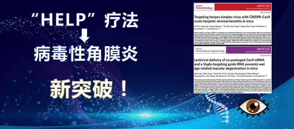 20220124217851.png image.png
