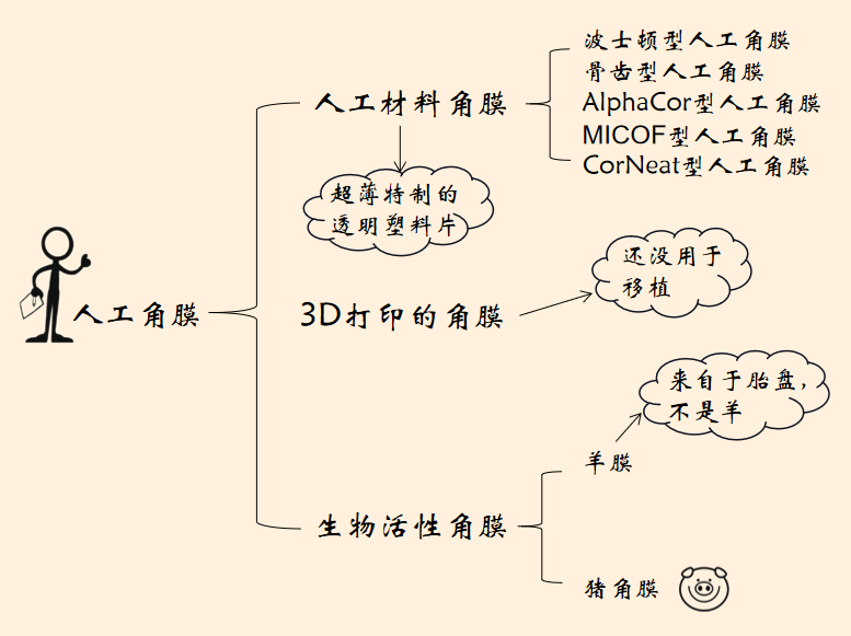 人工角膜.png
