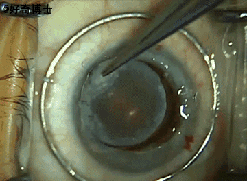 20220418712138.gif 4.18-1.gif