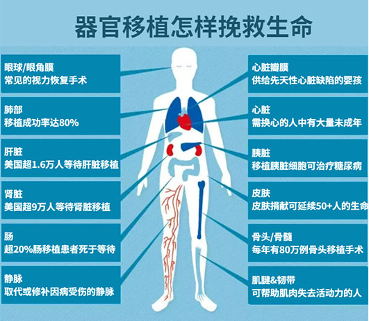 20220525629941.jpg 未标题-1.jpg