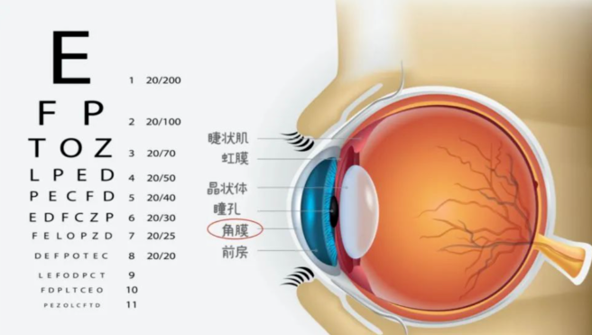 20220906979855.png 图1.png