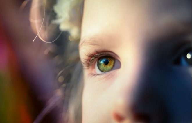 20220909718041.png 图1.png