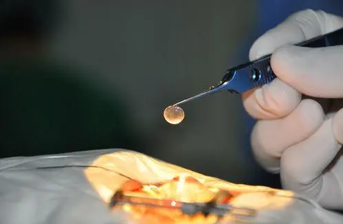 20220914109713.png 图1.png